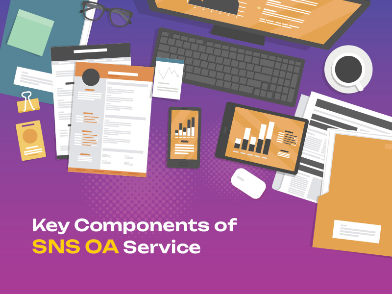 Key Components of SNS OA Service